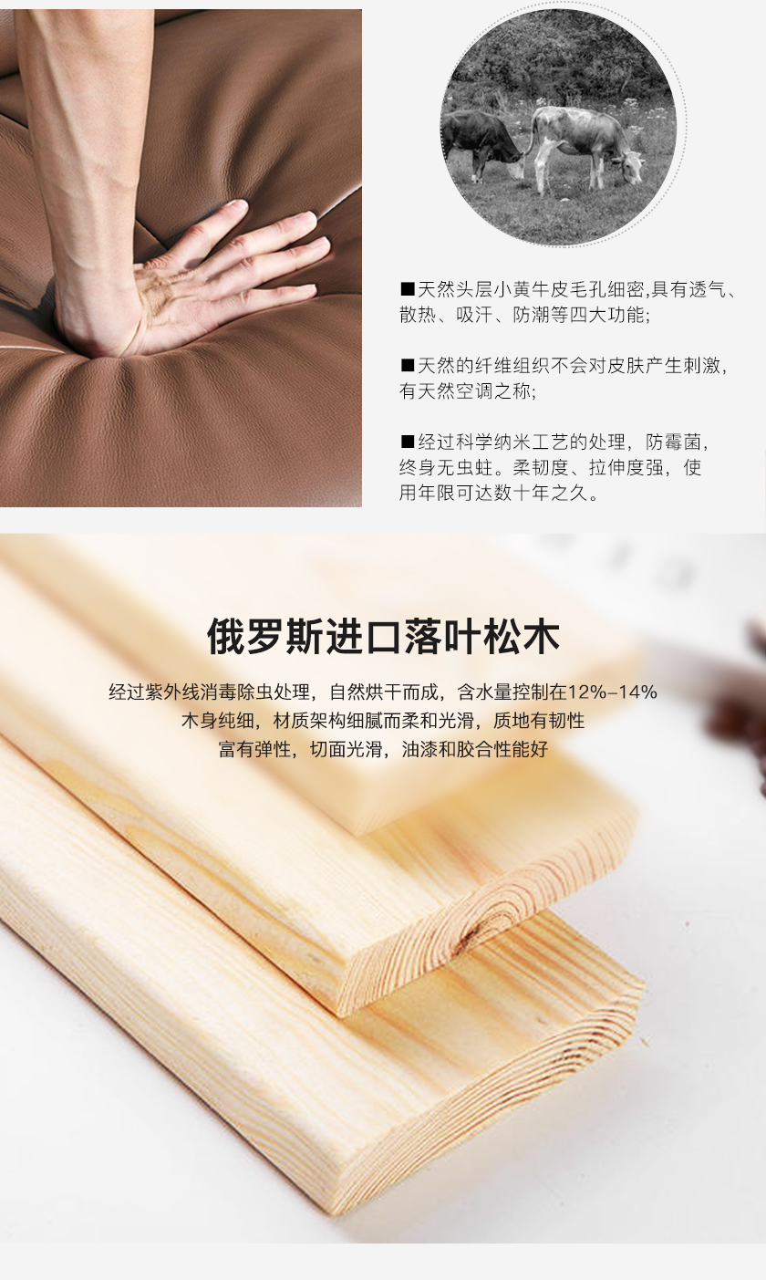 現(xiàn)代簡約床JY-C005